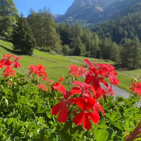 Daire Magnifique Avec Terrasse Spacieuse Et Jardin Loeche-les-bains Leukerbad