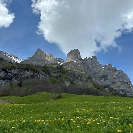 Magnifique Avec Terrasse Spacieuse Et Jardin Loeche-les-bains Apartment