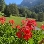 Lägenhet Magnifique Avec Terrasse Spacieuse Et Jardin Loeche-les-bains Leukerbad