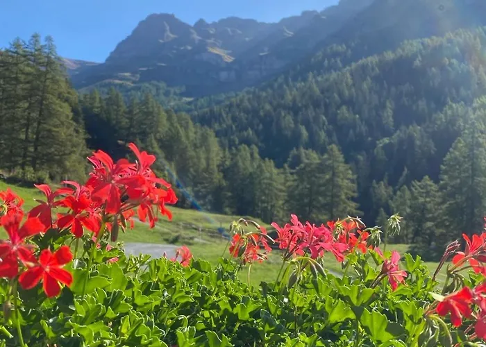 Magnifique Avec Terrasse Spacieuse Et Jardin Loeche-les-bains Лойкербад