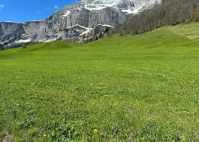 Magnifique Avec Terrasse Spacieuse Et Jardin Loeche-les-bains