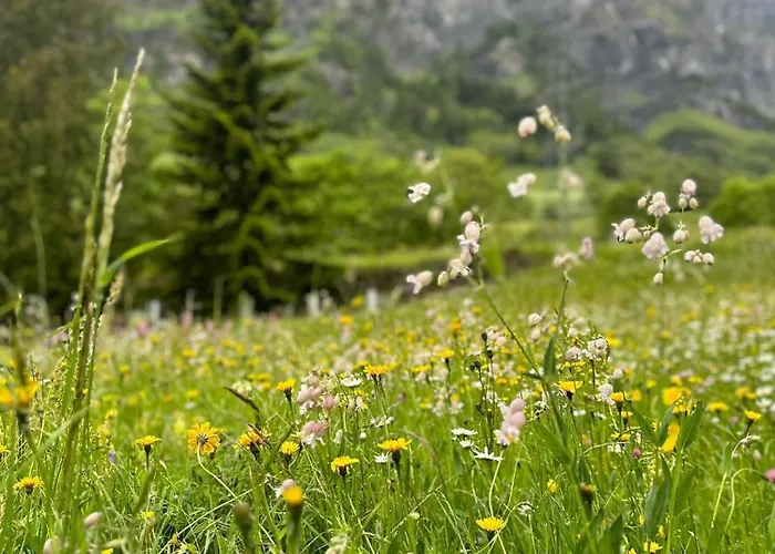 Magnifique Avec Terrasse Spacieuse Et Jardin Loeche-les-bains Апартаменты Лойкербад