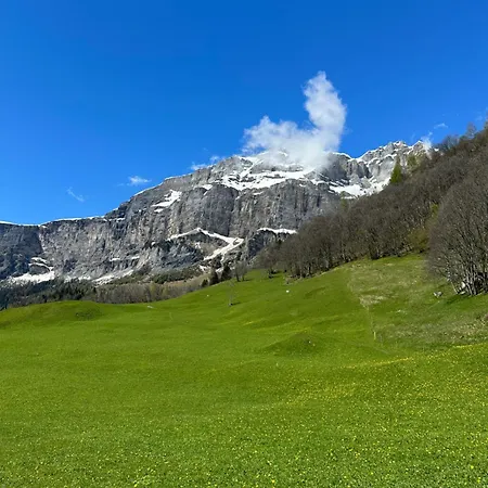 Magnifique Avec Terrasse Spacieuse Et Jardin Loeche-les-bains *