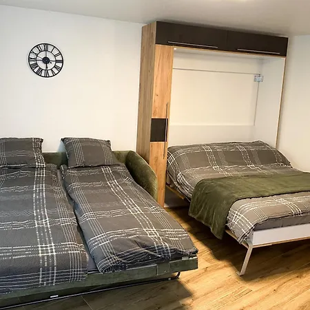 Magnifique Avec Terrasse Spacieuse Et Jardin Loeche-les-bains