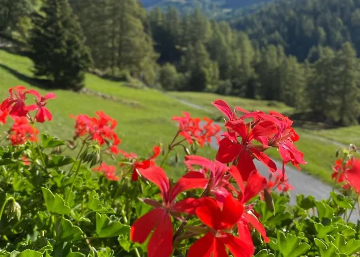 Apartamento Magnifique Avec Terrasse Spacieuse Et Jardin Loeche-les-bains Leukerbad